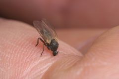IMG_2819