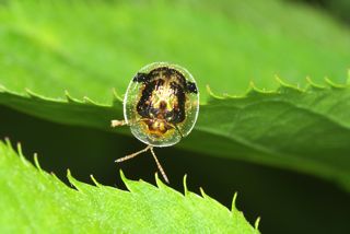 IMG_4071