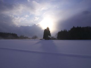 P1102577