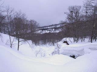 P2222494