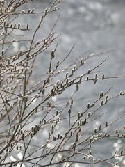 P3073479