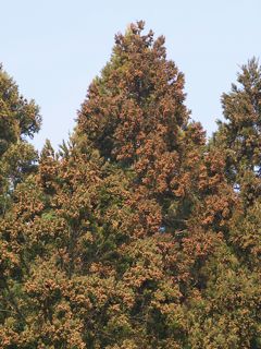 P3104313