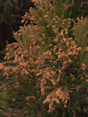 P3104374