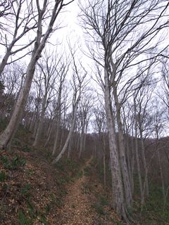 P3124619