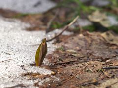 P4129302