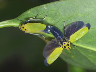 P4130037