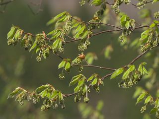 P4170664