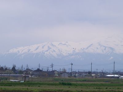P4251910
