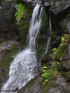 P4251927