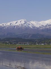 P5023339