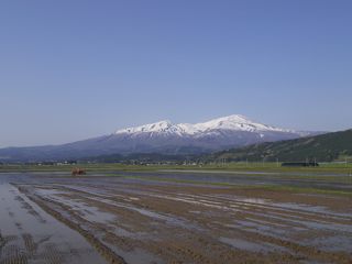 P5023344