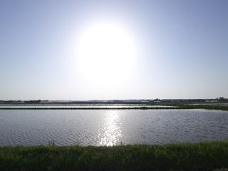 P5023352