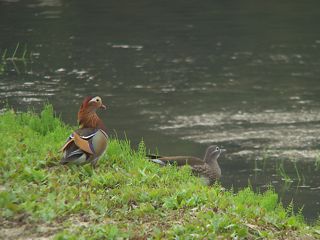 P5043970