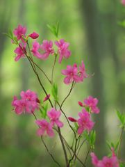 P5054137