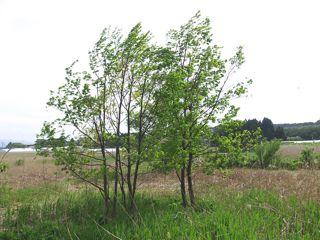 P5074541