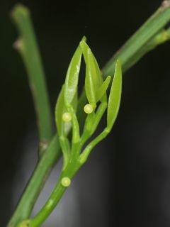 P5104819