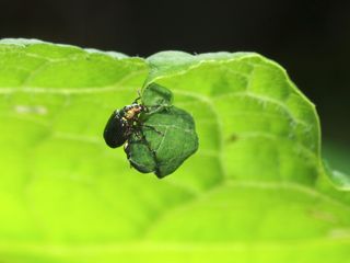 P5185703