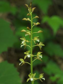 P5216723