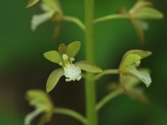 P5216727