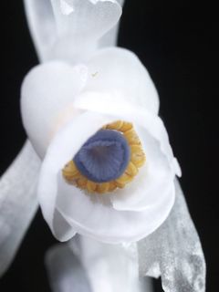 P6098755