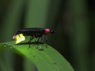 P6240975