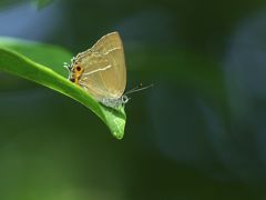 P6251072