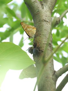 P7031630