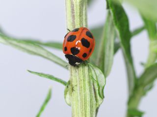 P7122272