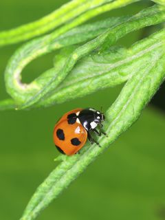 P7122317