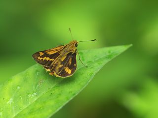 P7122501