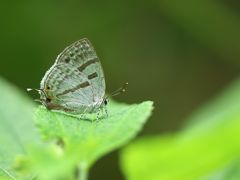 P7152644