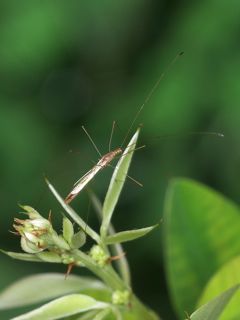 P7283567