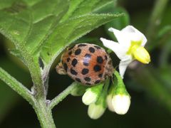 P8034059
