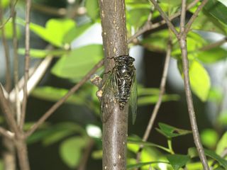 P8034101