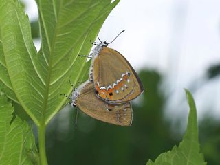 P6182902