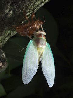 P7207259