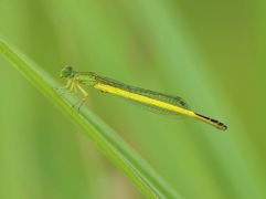 P7309005