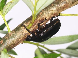 P8031021
