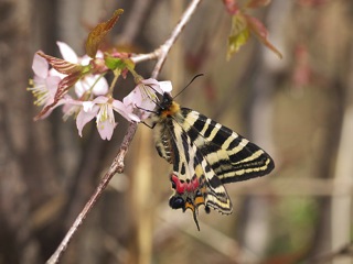 P4160136