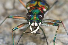 IMG_0706