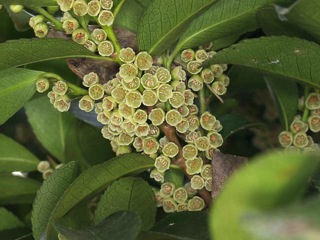 P4160183