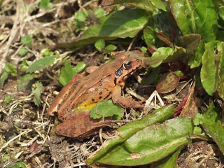 P4150051