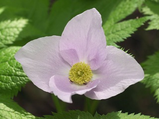 P4210487