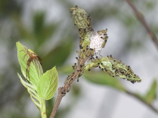 P5011776