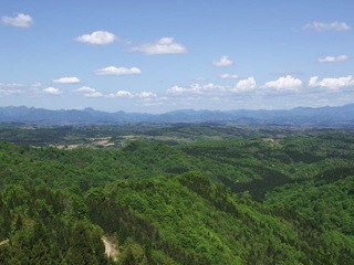 P5031873