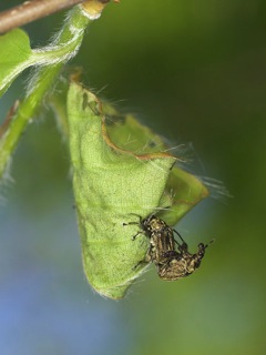 P5031838