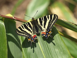 P4069415