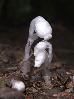 P6091977