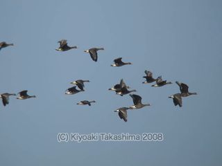 PB150217