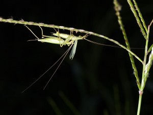 P8195717